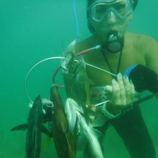 A man scuba diving underwater with four fishes swimming around him. The image captures a peaceful underwater scene with marine life